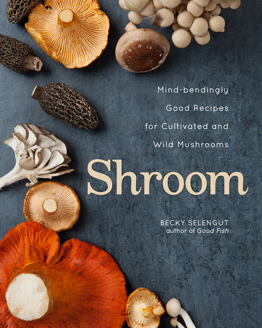 Shroom: Mind-bendingly Good Recipes for Cultivated and Wild Mushrooms *