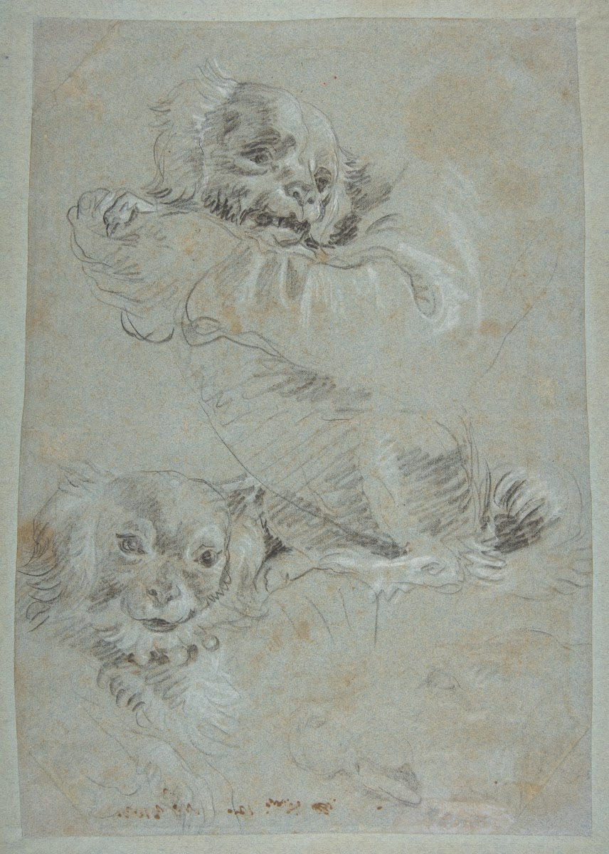 Three Dogs 17271804