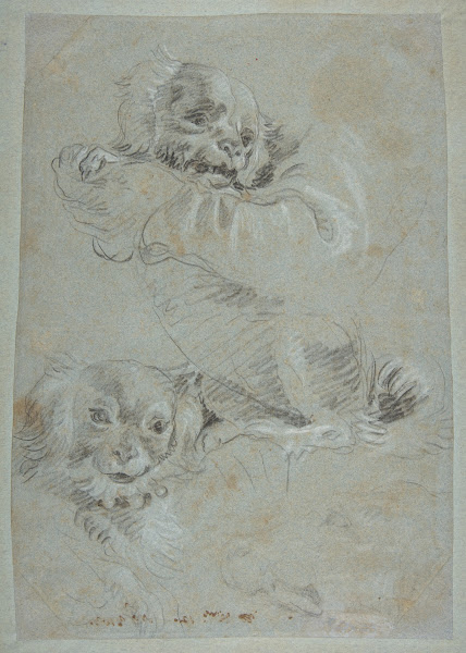 Three Dogs 17271804