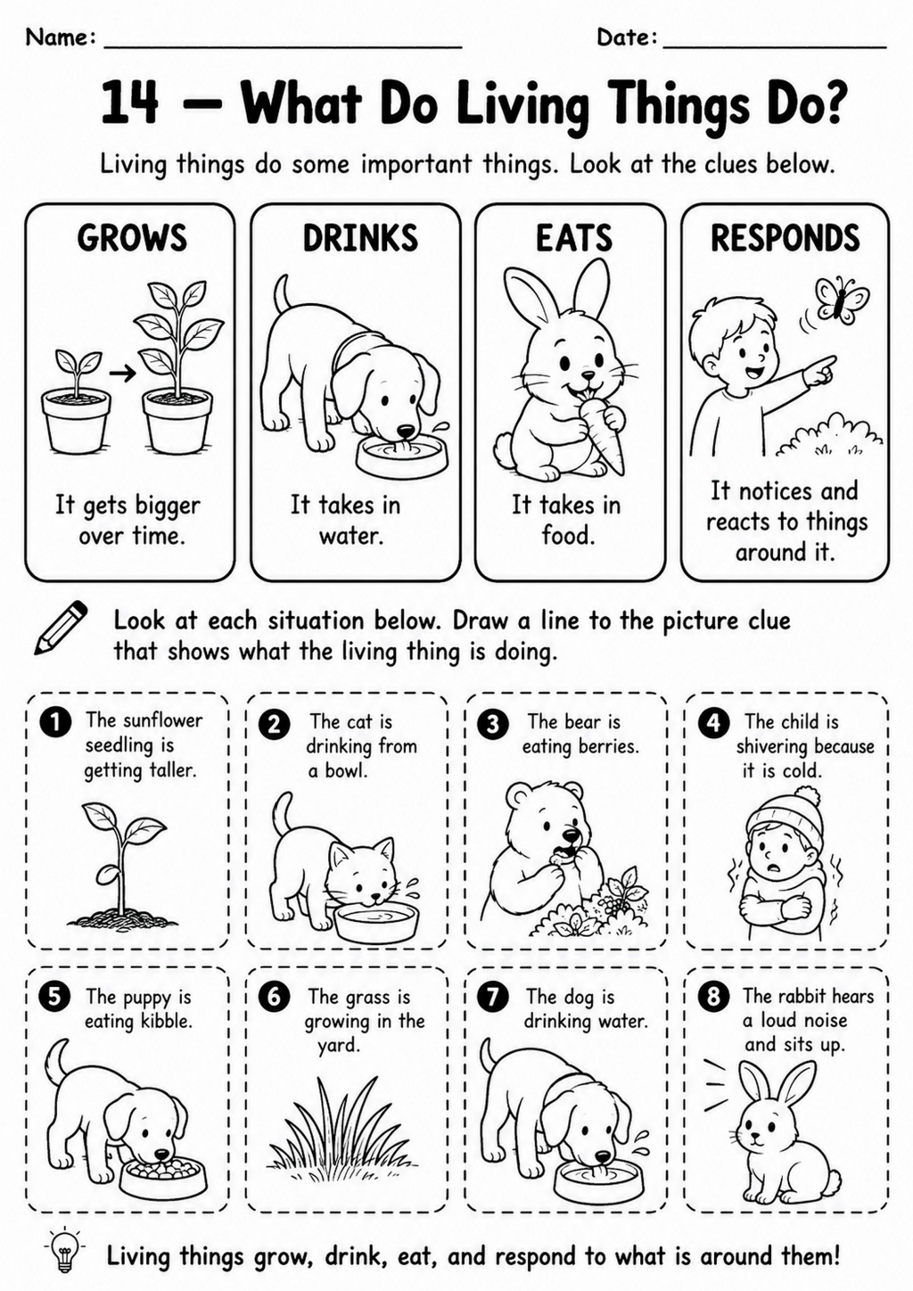 What Do Living Things Do?