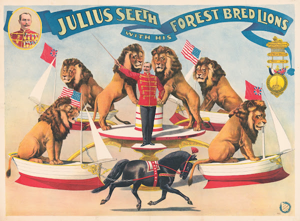Julius Seeth with his forest bred lions 1893