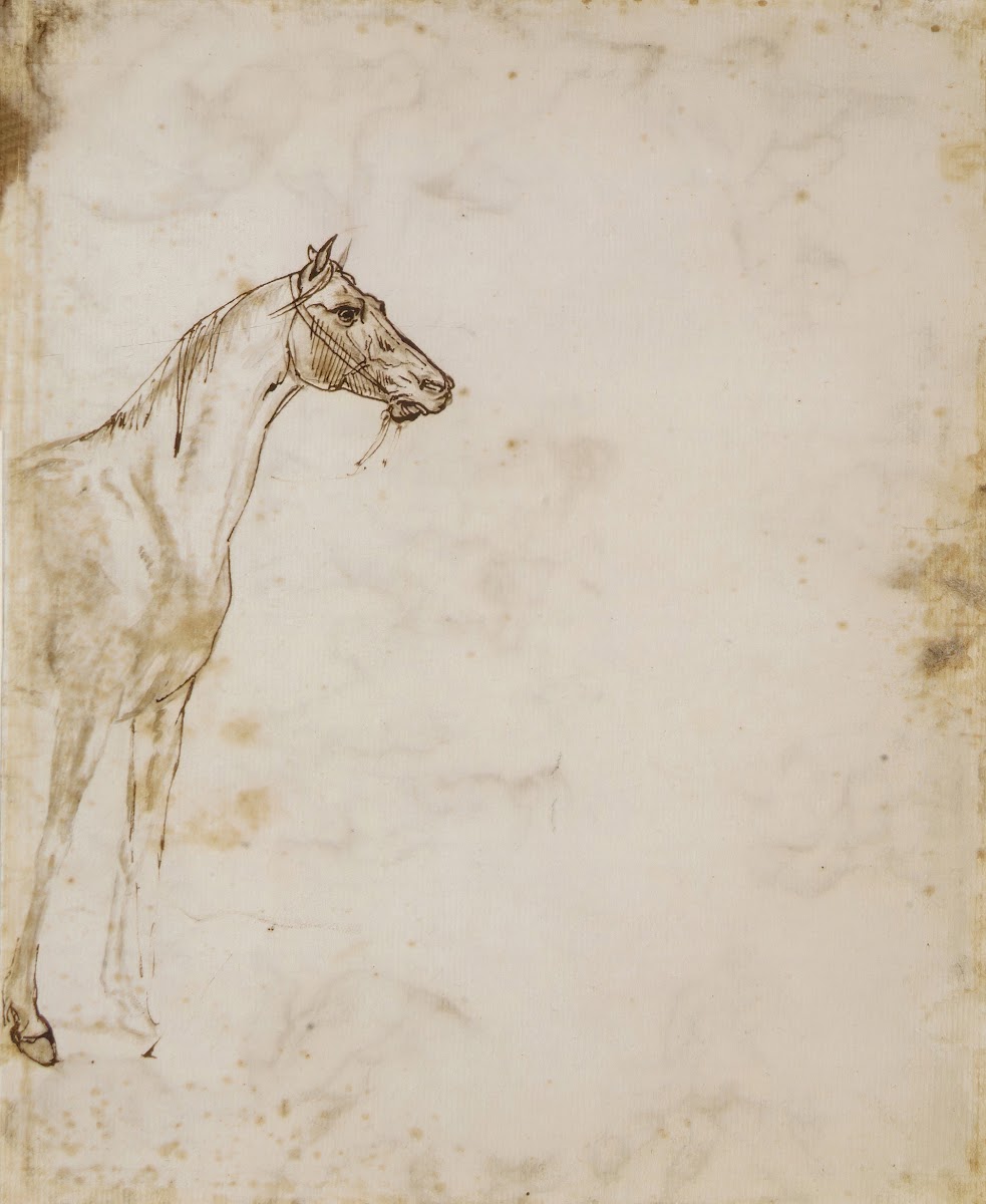 Study of a Horse ca 181718