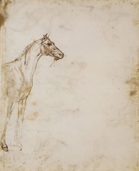 Study of a Horse ca 181718