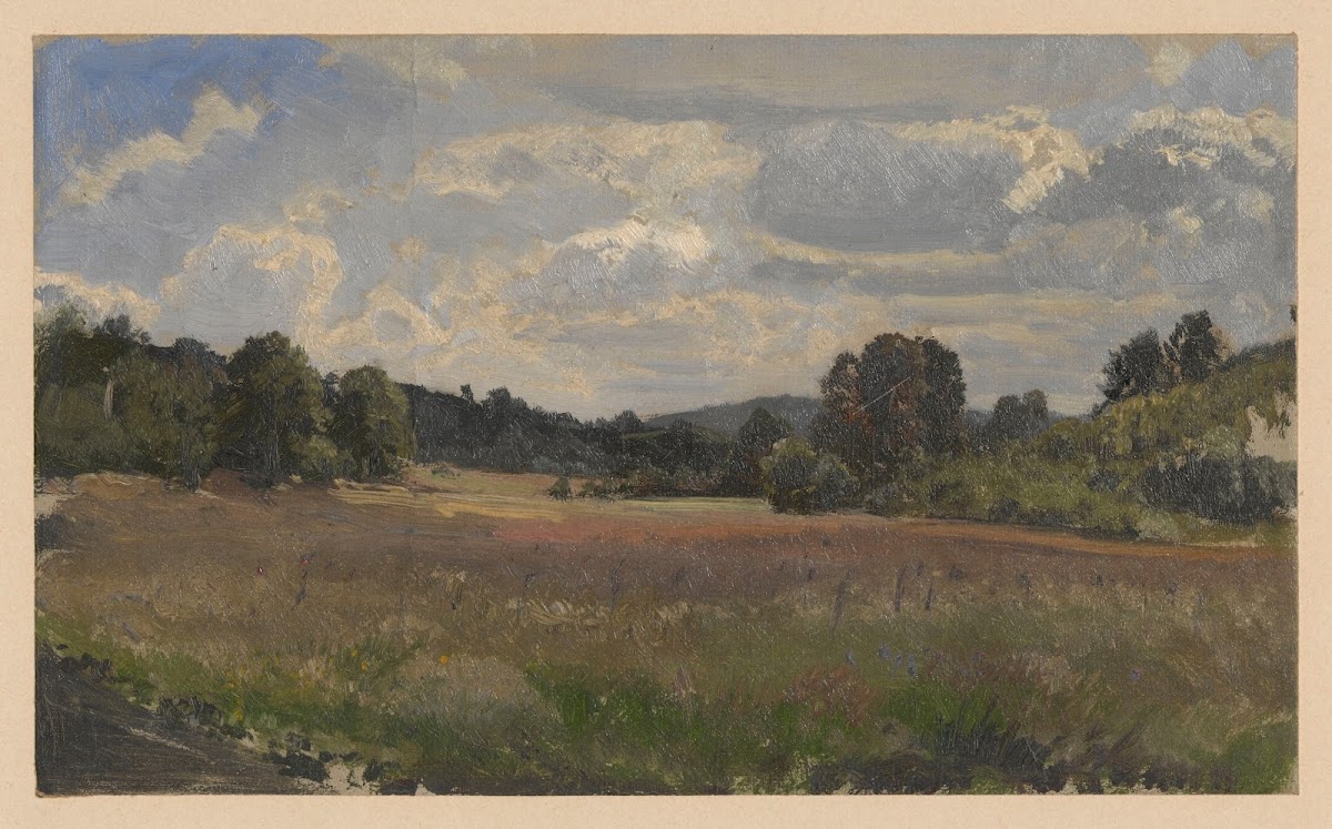View of a meadow near Jelcz 1850 1881