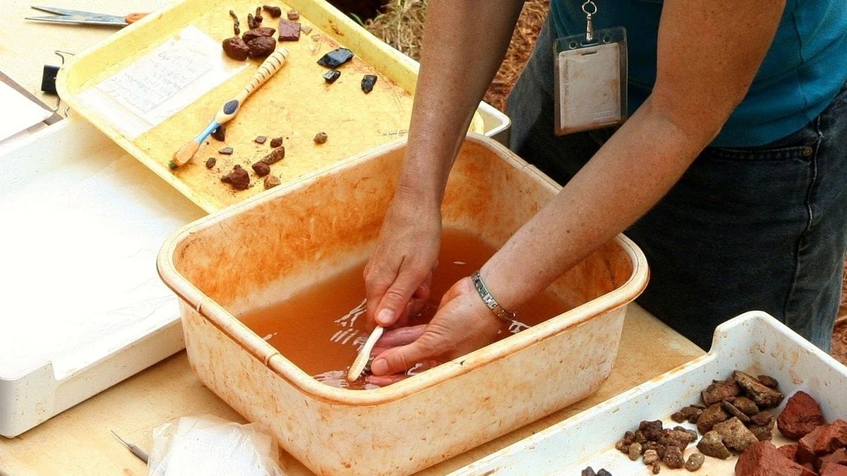 과학이라는 개념이 시대별로 확장된 과정과 의미 변화