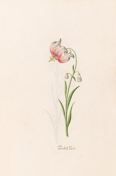 Türckish Bünd 1692