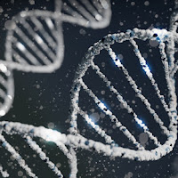 What Are the Safety Risks of Using AI for Personalized Nutrition?
