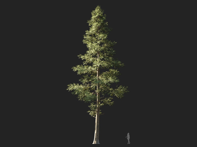Maxtree - Plant Models Vol.132