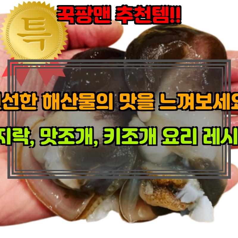 조개