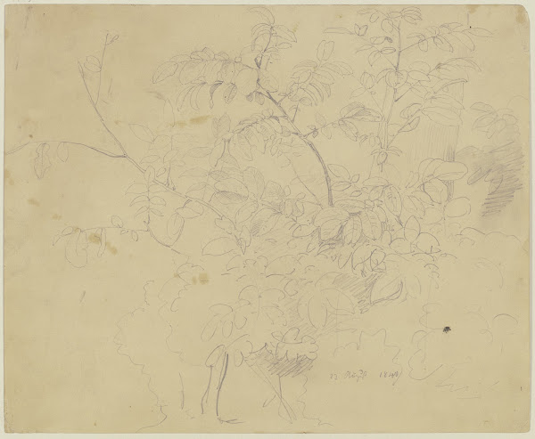 Shrubbery 1840