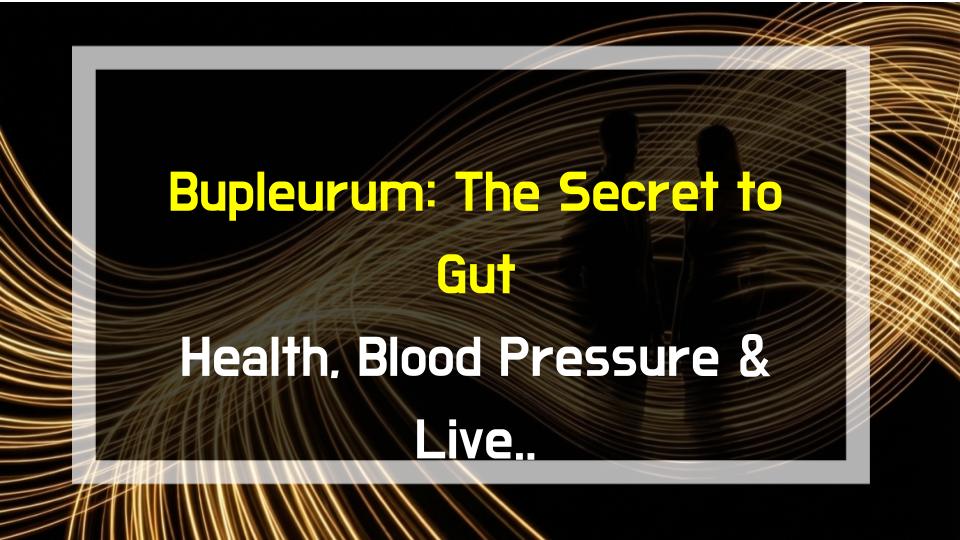Bupleurum: The Secret to Gut Health, Blood Pressure & Liver Protection?