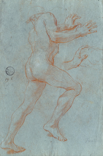 Study Of A Male Nude 1716   1735