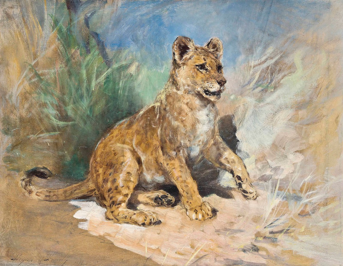 A lion cub 1877