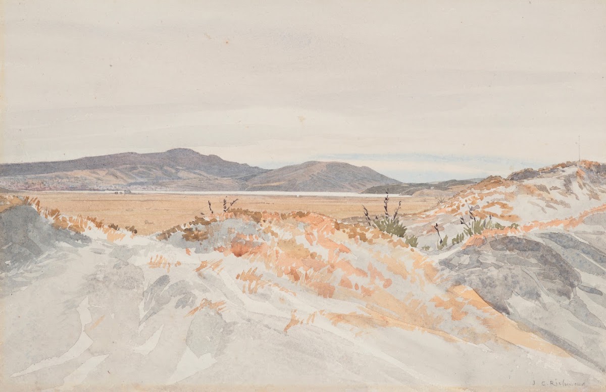 Dunedin from the Ocean Beach 1865