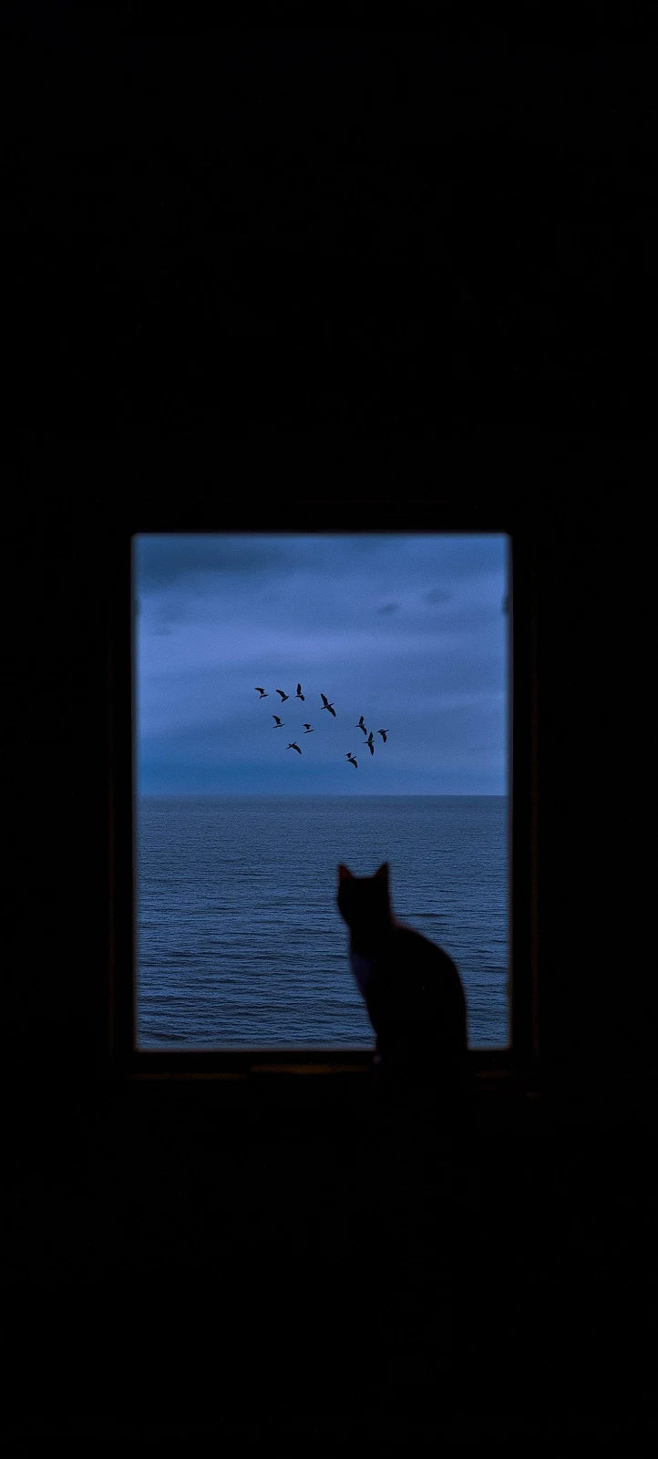 Cat Silhouette Watching The Ocean - Moody Contrast Photography 2K iPhone Wallpaper (1472x3264)