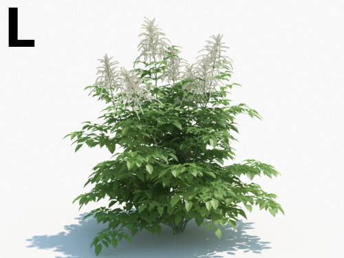 Maxtree - Plant Models Vol.3