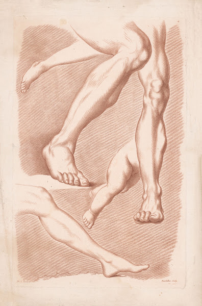 Six legs in different poses 1749 1849