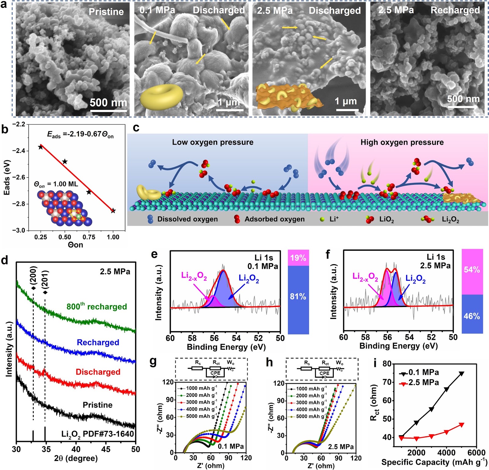 Oxygen-Pressure Protocol Breaking Cycle Limit of Continuously Reversible Lithium-Oxygen Batteries