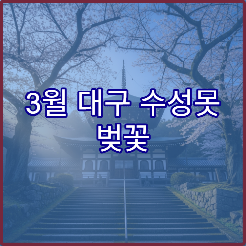 3월 대구 수성못 벚꽃 가족 피크닉 명당 위치와 준비물 완벽 정리
