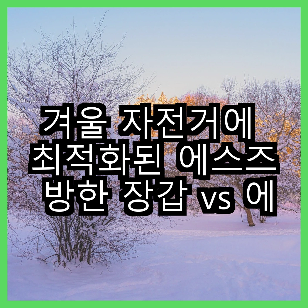 겨울 자전거에 최적화된 에스즈 방한 장갑 vs 에이빅 터치 장갑, 당신의 손은 어떤 선택을 할까요? 썸네일