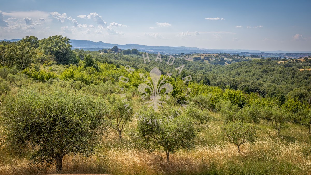 פודרה פלאצו ואל דל סאסו (Podere Palazzo Val del Sasso) — 56
