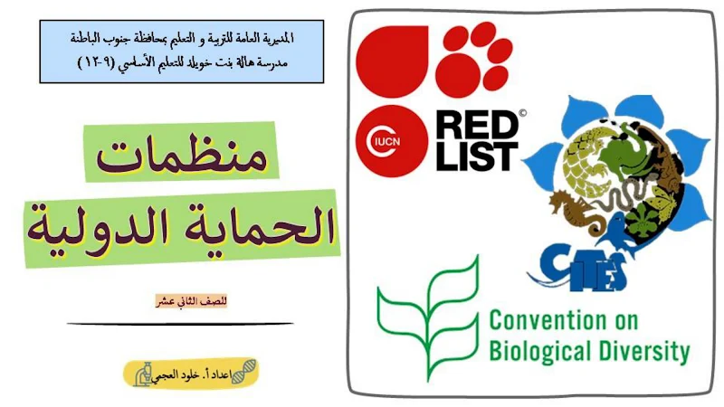 صورة الغلاف