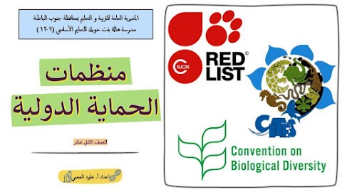 شرح درس ملخص منظمات الحماية الدولية - أحياء الصف 12 الفصل 2