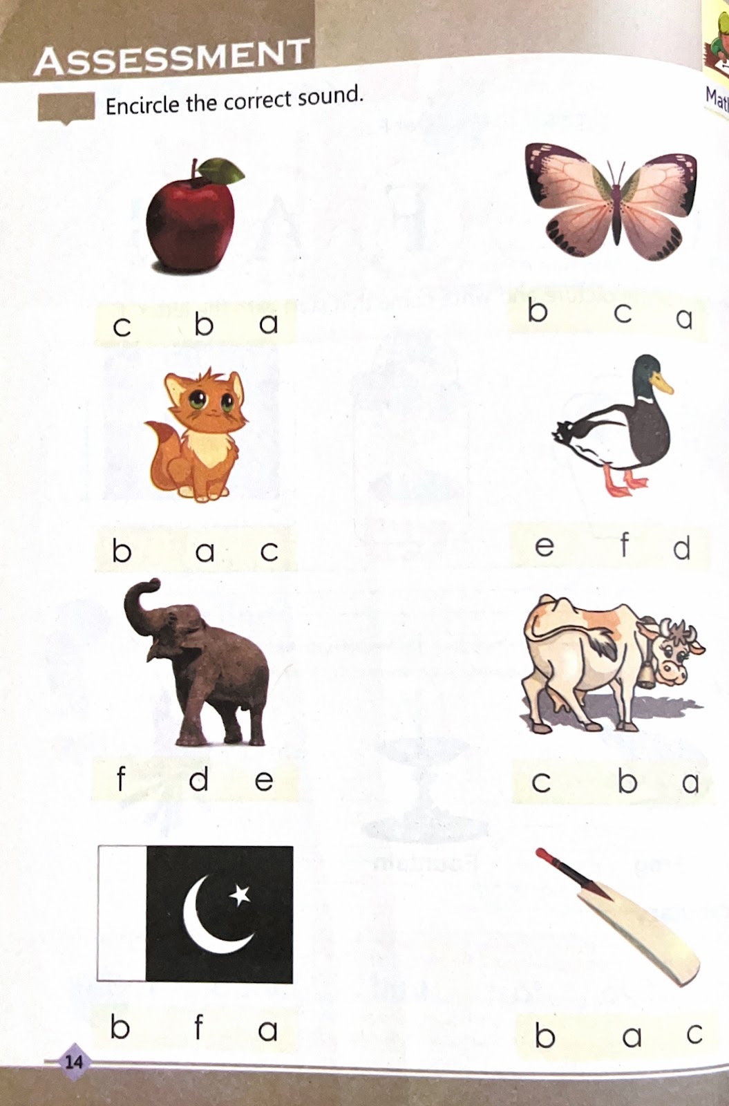 English Book B - Activity Book