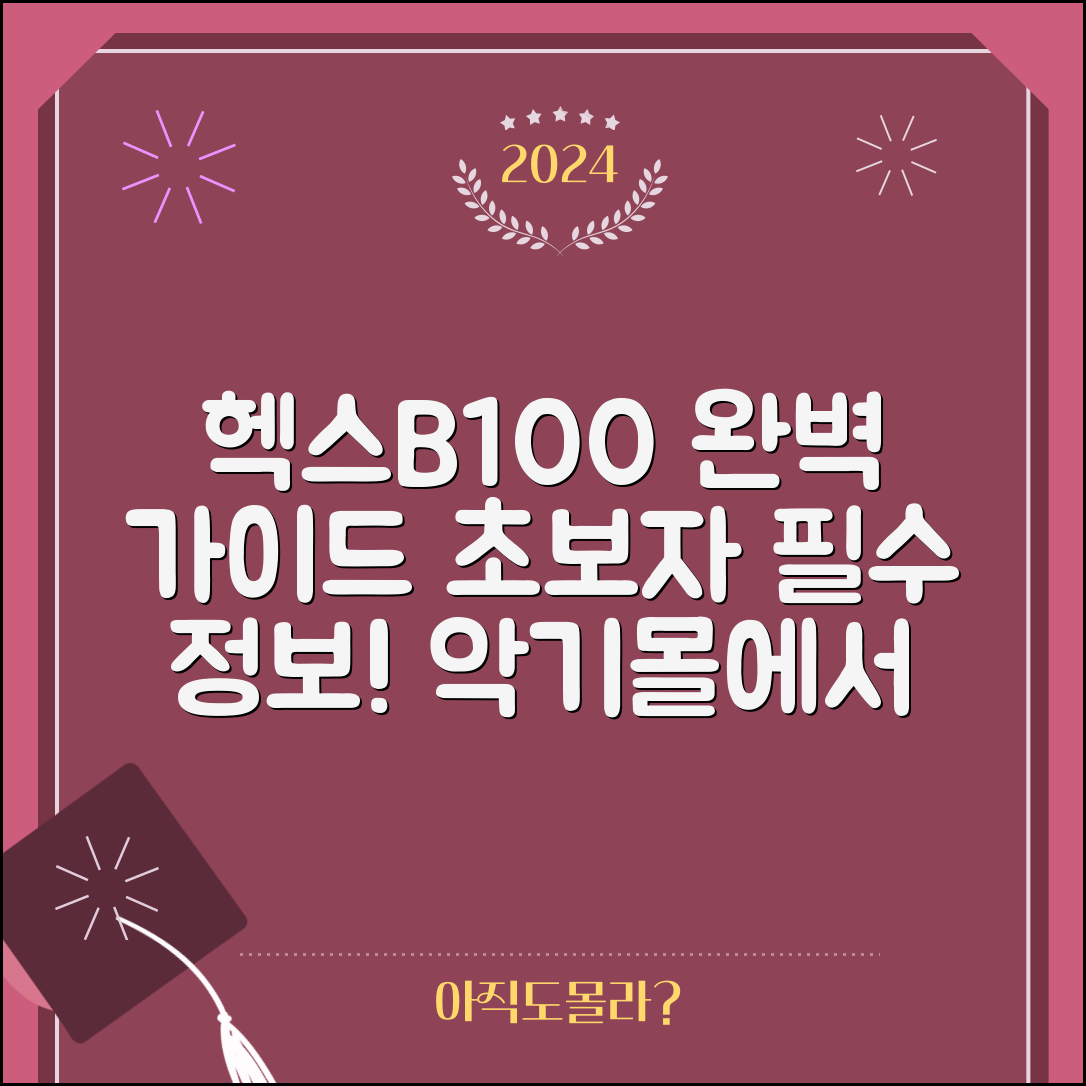 헥스b100기타악기몰 완벽 가이드: 초보자를 위한 필수 정보
