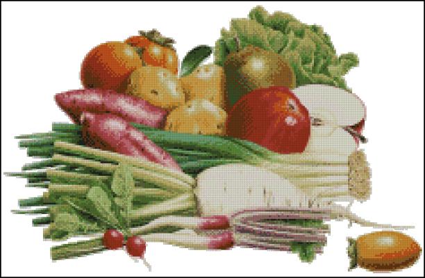 CMP 200156 Vegetables Radishes