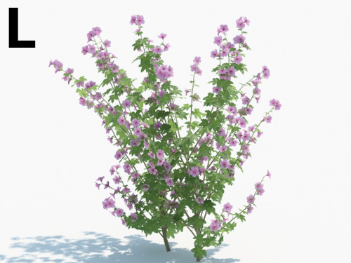Maxtree - Plant Models Vol.3