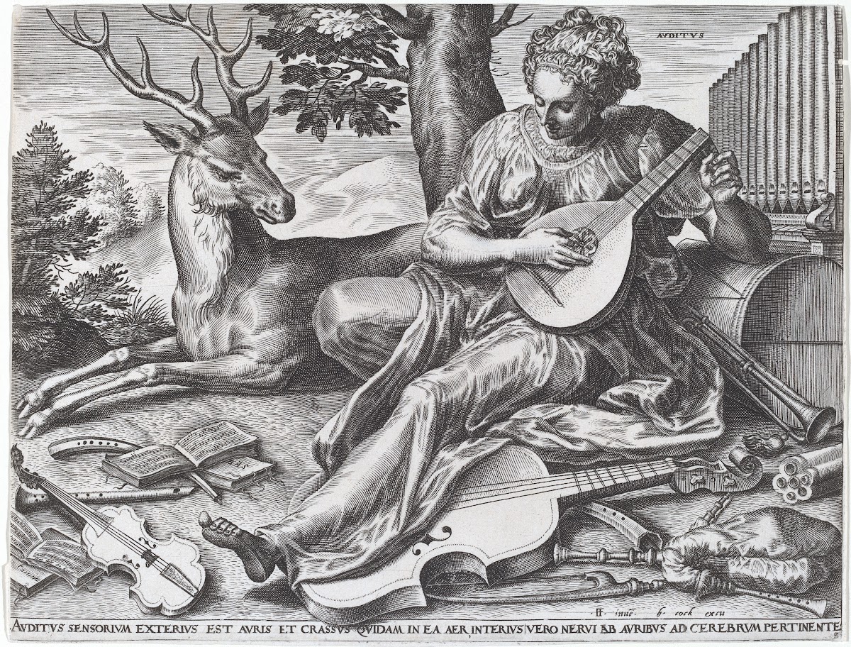 Auditus 1561