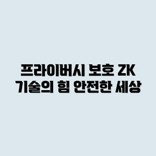 ZK 기술, 프라이버시 보호, ZK 기술 이점, 개인정보 보호, 암호화 기술