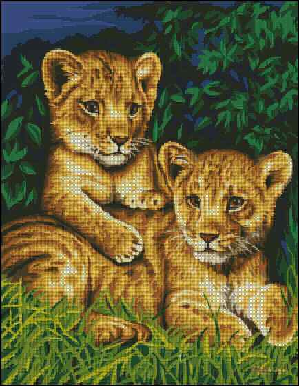 CMP 400162 Born To Be Free