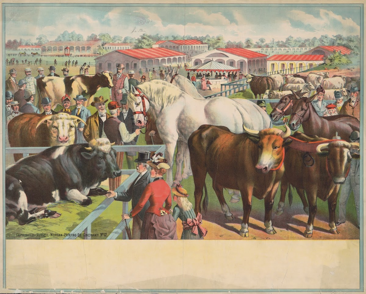 Cattle horses and people at the fair with stables in the background 1891
