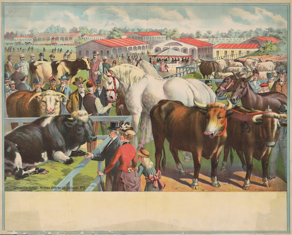Cattle horses and people at the fair with stables in the background 1891