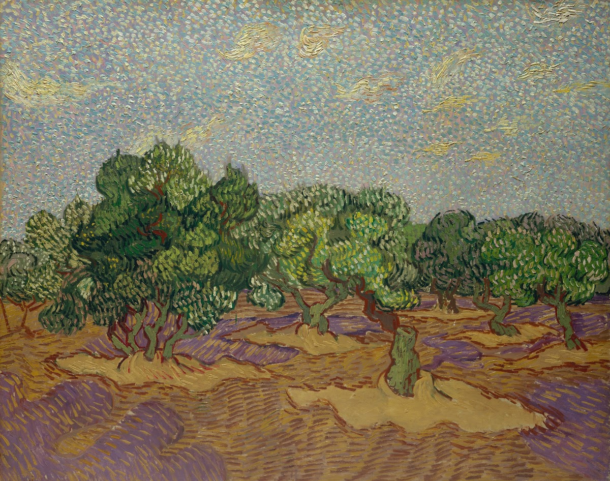 Olive Trees 1889
