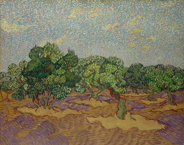 Olive Trees 1889