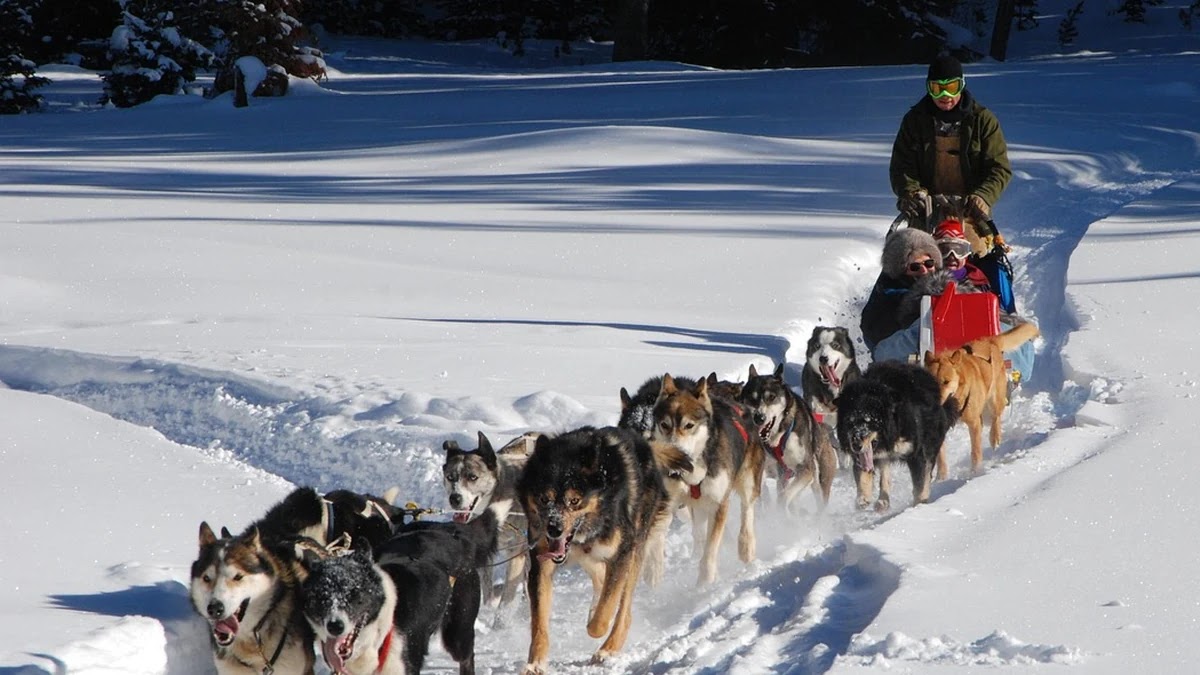 퀵정렬과 병합정렬 알고리즘 구조 및 성능 비교