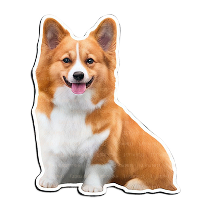 Acrylic Fridge Magnet