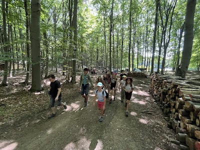 Kalocsa - IMG_0220.JPG