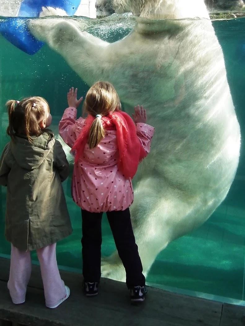 파킹통장 금리 비교 기준과 실질 수익률 계산 방법