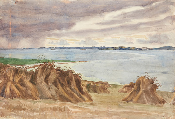 Rug i traver Katterød rev I baggrunden Bjørnø 1901