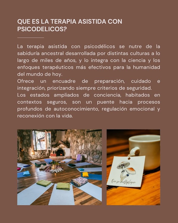 UNIÓN Retiro de Conexión Somática Micelial