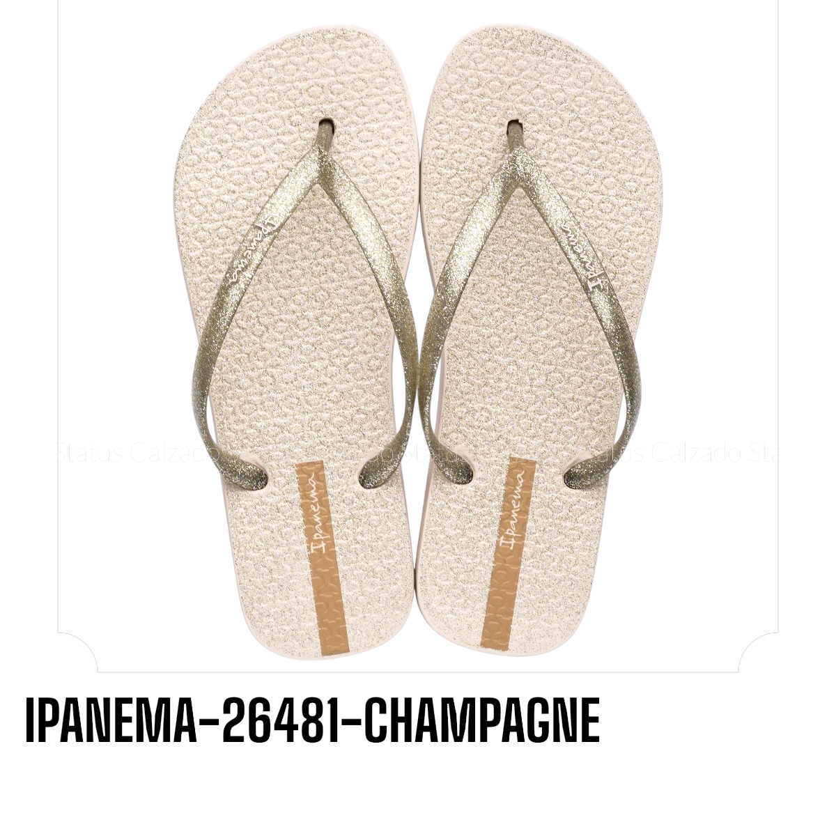 IPANEMA-26481-CHAMPAGNE