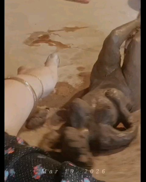 Escultura con Modelo Vivo