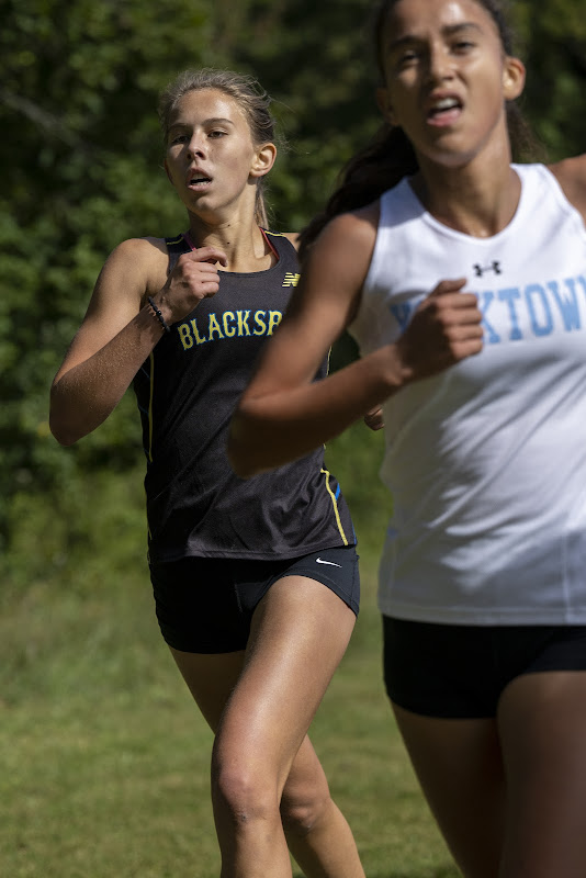 Photo from HS: Cross Country of Tess Dickhans