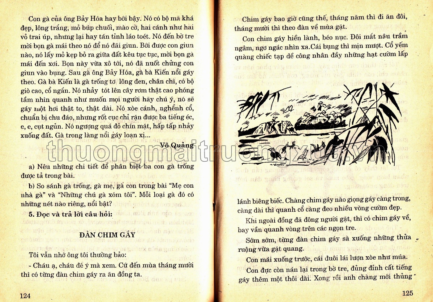 Tiếng Việt 4 (tập 2 - 1998) - Trang 10