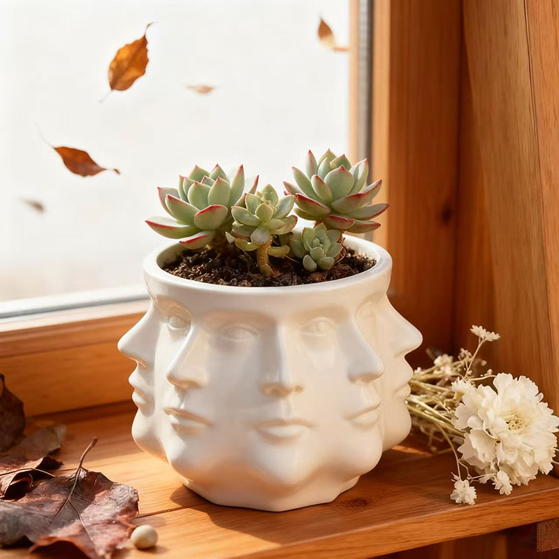 Modern flower pot with geometric face pattern