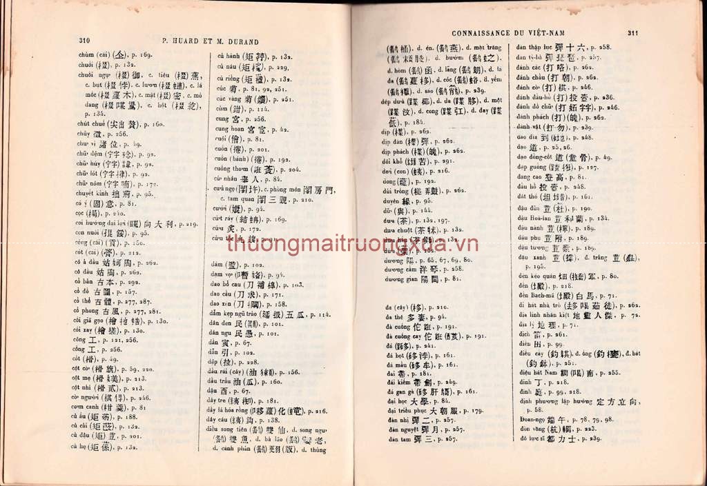 Connaissance du Vietnam (1954) - Trang 156